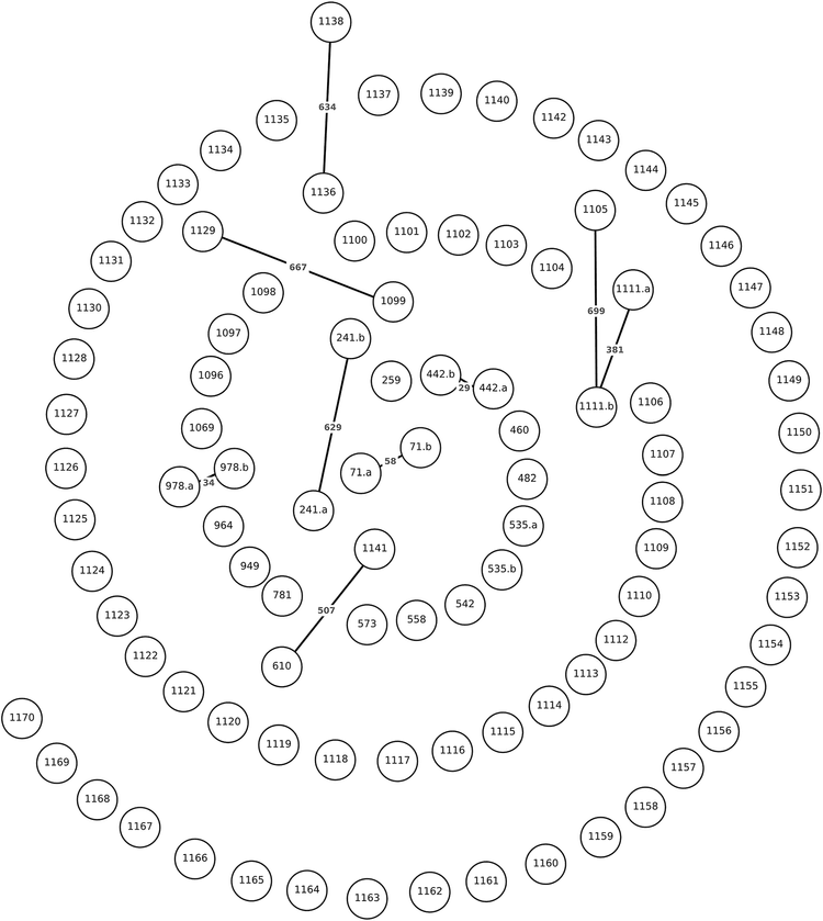spin