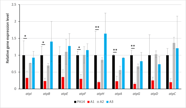 dubois et al 2025 adaptation to cinnamaldehyde shapes pseudomonas aeruginosa resistance to major antibiotics